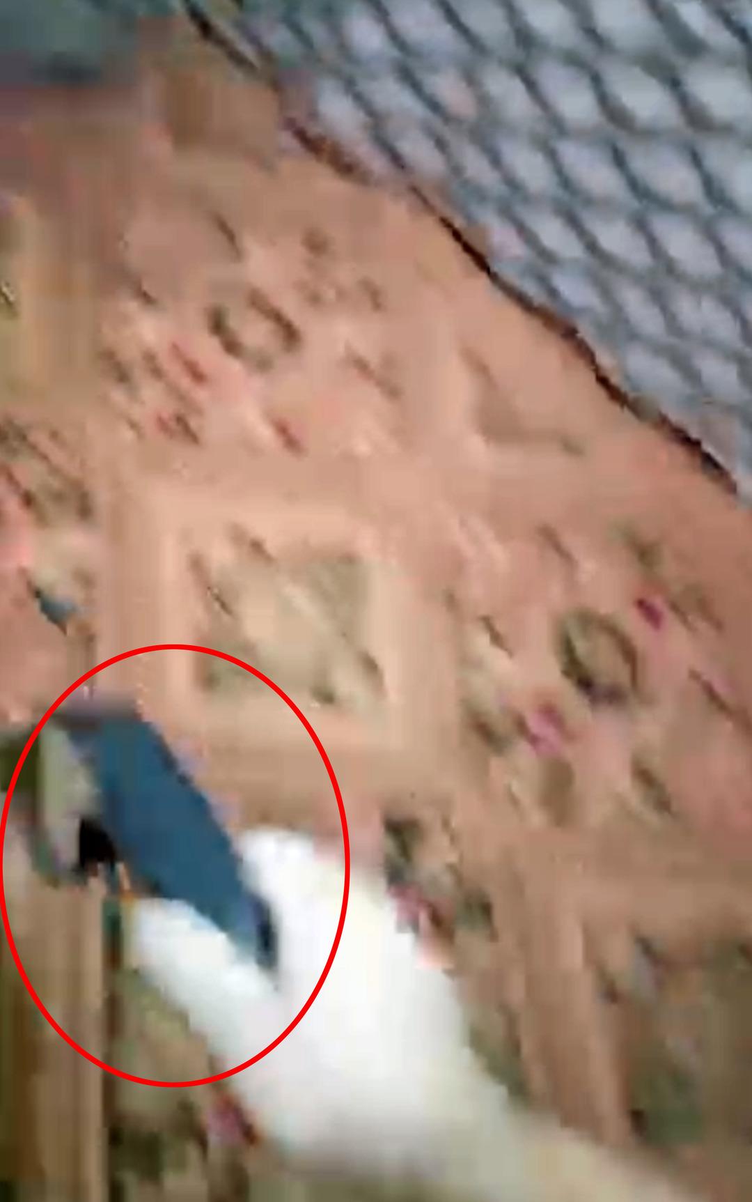 4 çocuğuna kemerle işkence yapıp video çekmişti! Valilikten açıklama geldi 3