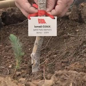 Son Dakika Haber Görseli