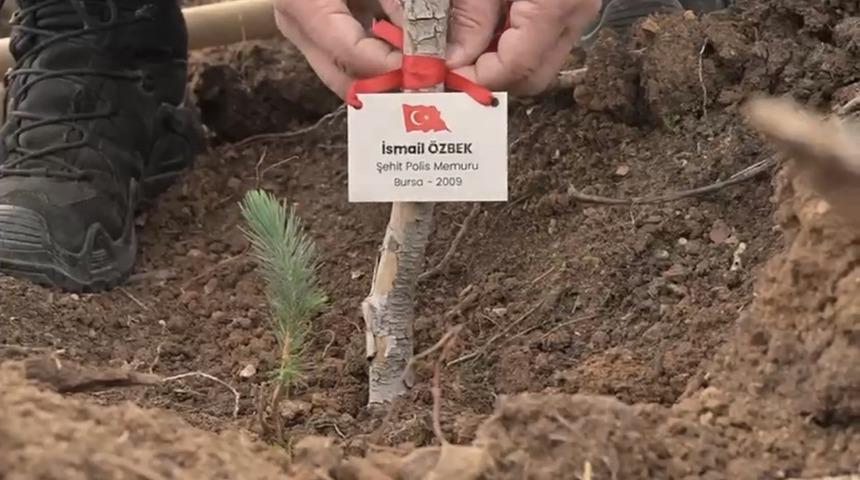 Bursa&rsquo;da şehitler anısına fidan dikildi