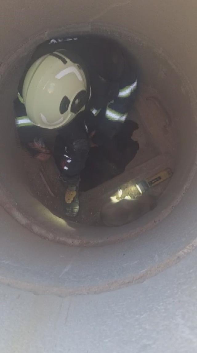 Hatay&rsquo;da 6 metrelik &ccedil;ukurda mahsur kalan yavru k&ouml;peği itfaiye kurtardı 5