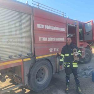 Hatay’da 6 metrelik çukurda mahsur kalan yavru köpeği itfaiye kurtardı