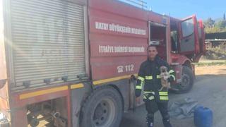 Hatay’da 6 metrelik çukurda mahsur kalan yavru köpeği itfaiye kurtardı