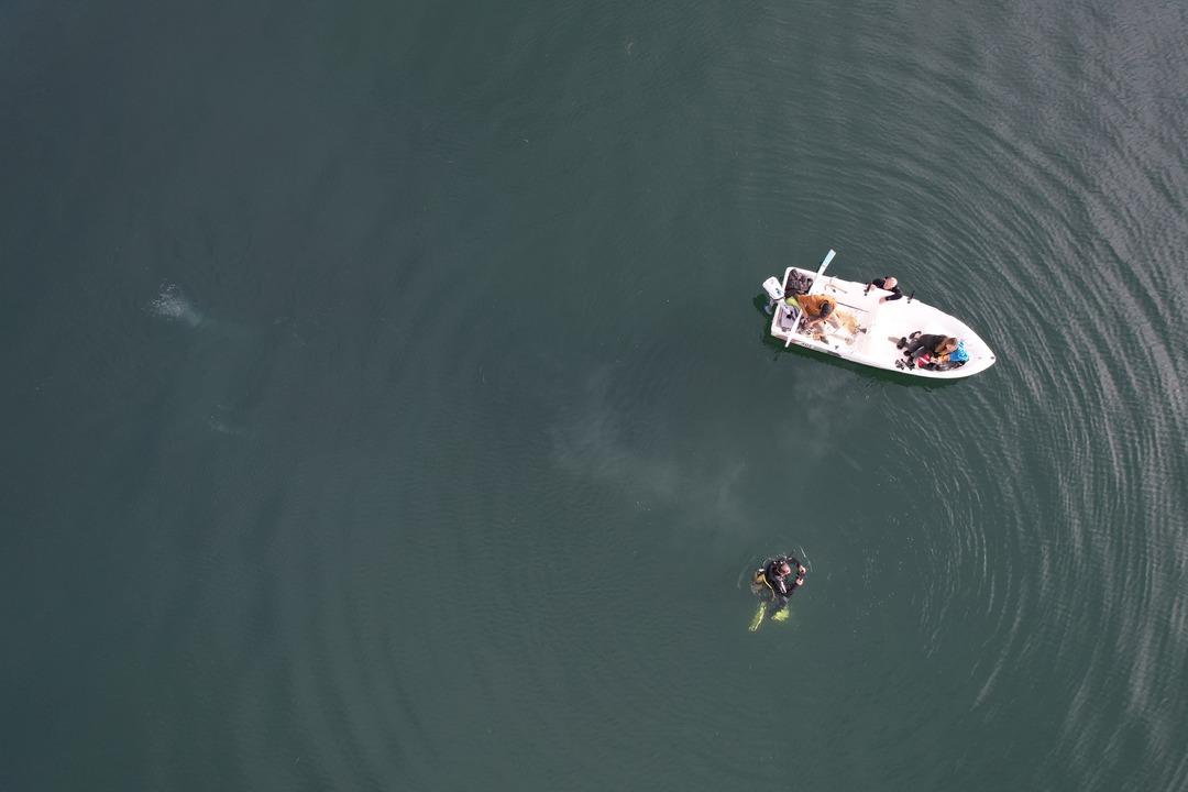 Sapanca daki korkutan kabarcılar... Şener Üşümezsoy Asıl tehlike demişti: "Depremleri tetikleyebilir" 1
