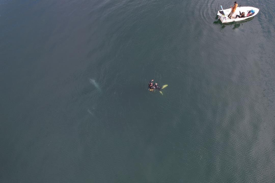 Sapanca daki korkutan kabarcılar... Şener Üşümezsoy Asıl tehlike demişti: "Depremleri tetikleyebilir" 4