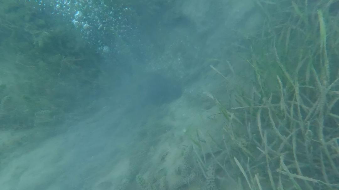 Sapanca daki korkutan kabarcılar... Şener Üşümezsoy Asıl tehlike demişti: "Depremleri tetikleyebilir" 10