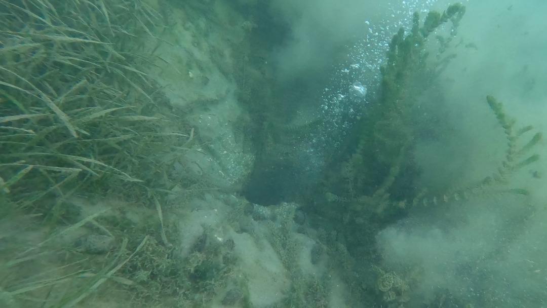 Sapanca daki korkutan kabarcılar... Şener Üşümezsoy Asıl tehlike demişti: "Depremleri tetikleyebilir" 9