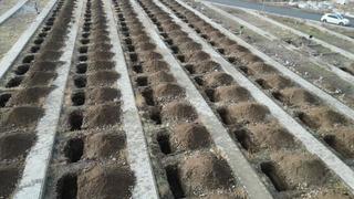 Yüzlerce mezar açıldı! Nedeni bakın ne çıktı!