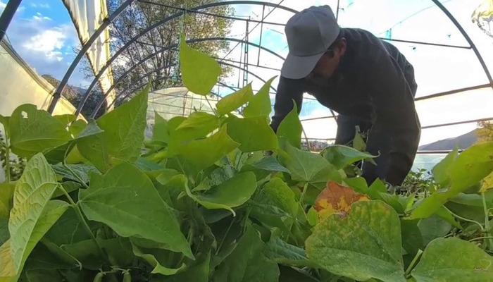 Yemek programlarında kullanılıyor