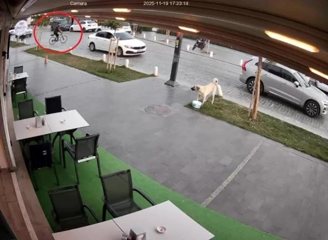 640xauto Yolun karşısına geçmek isteyen bisikletliye otomobil çarptı: 1 yaralı