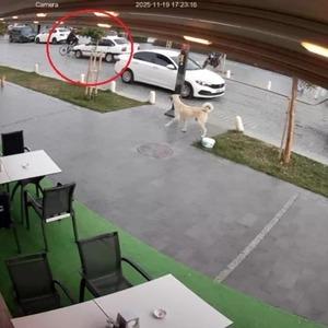 Son Dakika Haber Görseli