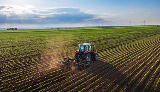 Tarımsal girdi fiyat endeksi Eylül'de aylık olarak arttı