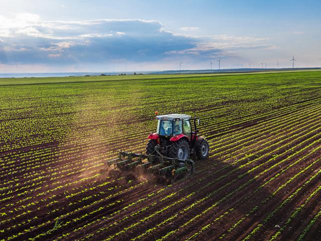 Tarımsal girdi fiyat endeksi Eylül'de aylık olarak arttı