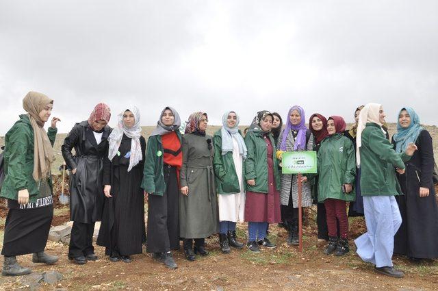 Yeşilay’dan üniversite kampüsünde ağaçlandırma etkinliği