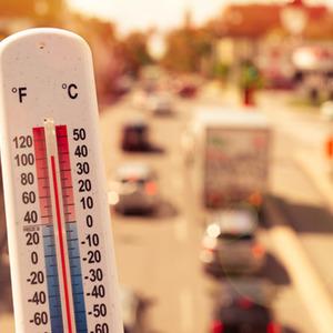 Son Dakika Haber Görseli