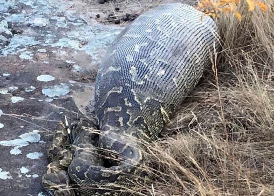 Saatlerce yemek i&ccedil;in uğraştı ama...