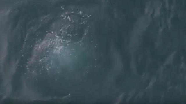 Sapanca Gölü'nden kabarcıklar çıkıyordu! Nedeni belli oldu