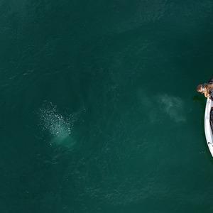 Son Dakika Haber Görseli