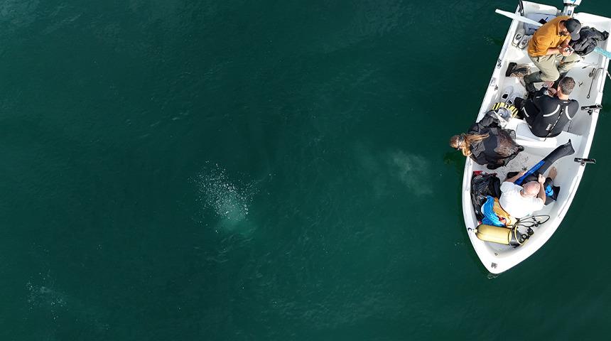 Sapanca Gölü'ndeki kabarcıklar endişeye yol açtı! Nedenini Prof. Dr. Utkucu açıkladı