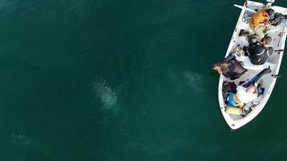 Sapanca Gölü'ndeki kabarcıklar endişeye yol açtı! Nedenini Prof. Dr. Utkucu açıkladı