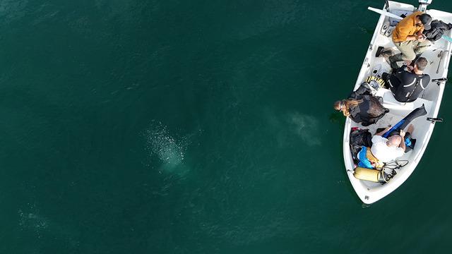 Sapanca Gölü'ndeki kabarcıklar endişeye yol açtı! Nedenini Prof. Dr. Utkucu açıkladı