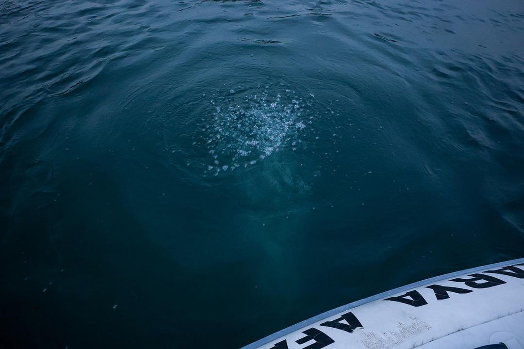 Sapanca Gölü ndeki kabarcıklar endişeye yol açtı! Nedenini Prof. Dr. Utkucu açıkladı 1