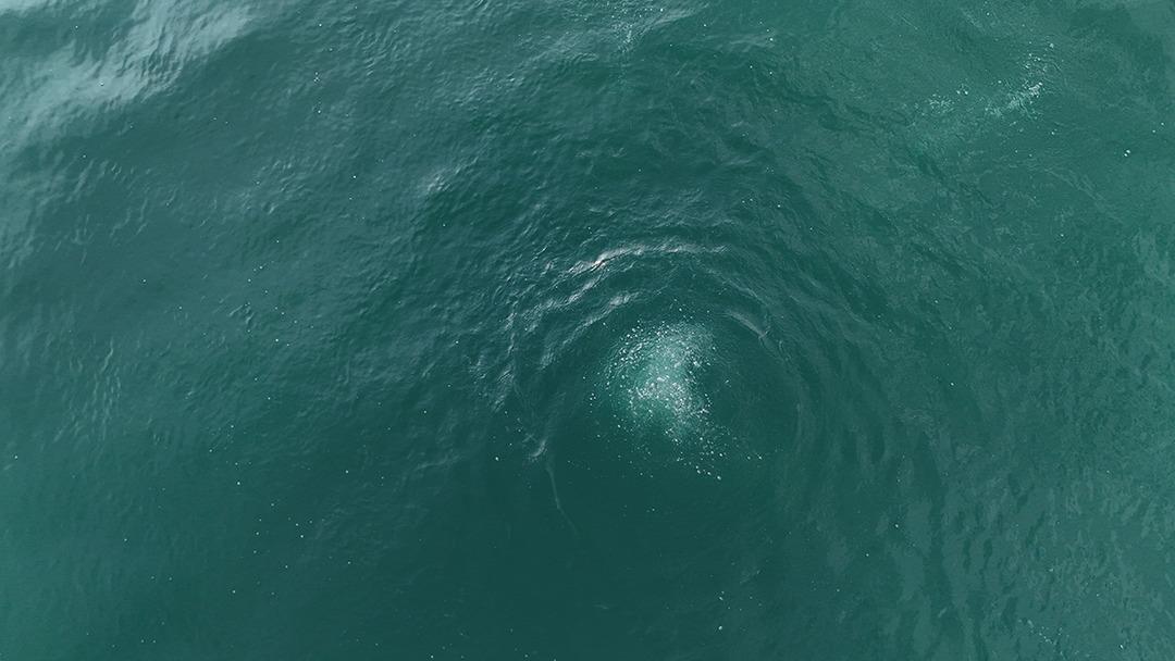 Sapanca Gölü ndeki kabarcıklar endişeye yol açtı! Nedenini Prof. Dr. Utkucu açıkladı 4