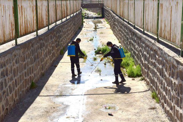 Antep Deresi ilaçlama çalışmalarına erken başlandı