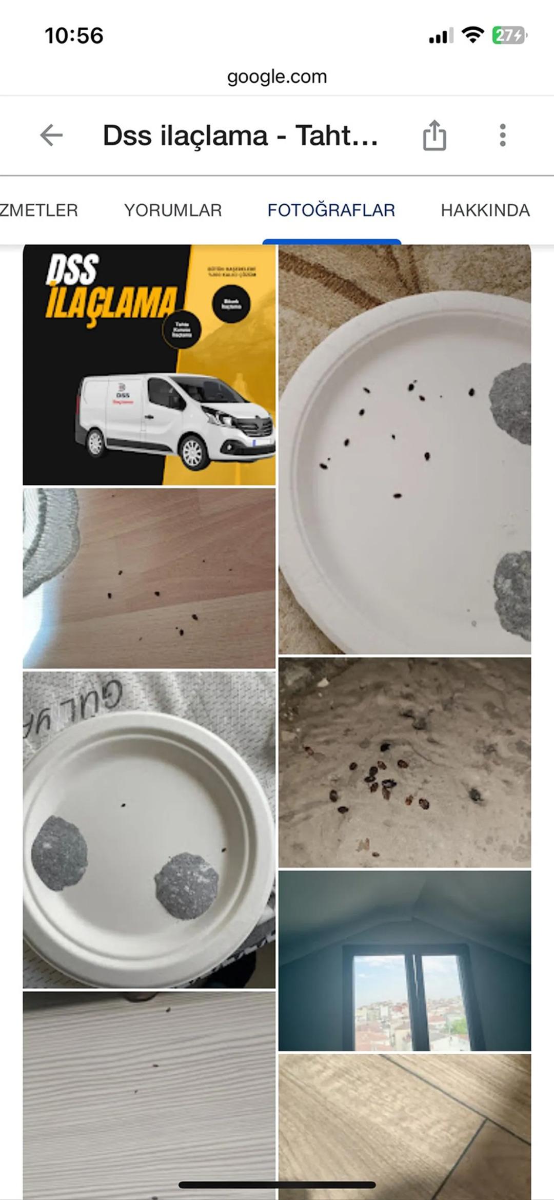 Böcek ailesini öldüren ‘ticari’ sır: “Bu yöntemi İstanbul’da 3-4 firma kullanıyor” 3