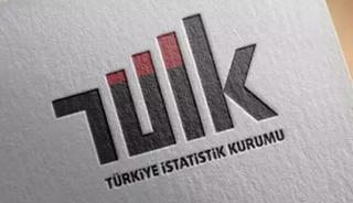 TÜİK: İstihdam endeksi yıllık yüzde 1,2 arttı