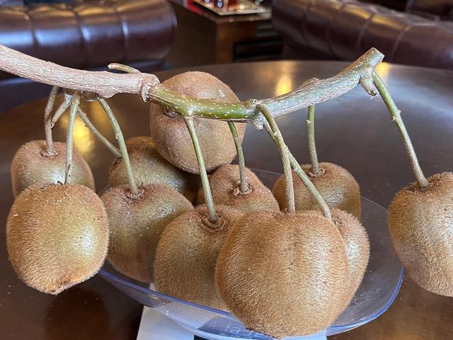 Çarşamba Ovası'nda 180 gramlık kivi tescillendi