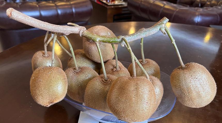 Çarşamba Ovası'nda 180 gramlık kivi tescillendi