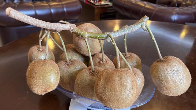 Çarşamba Ovası'nda 180 gramlık kivi tescillendi