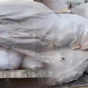 Son Dakika Haber Görseli