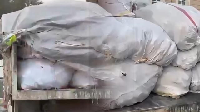 Şüphe üzerine durdurulan iki araçta çuvallarla ele geçirildi: Piyasa değeri 1 milyon 900 bin lira!