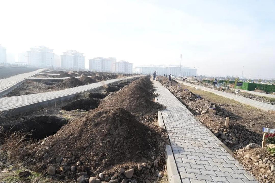 Yüzlerce mezar açıldı! Nedeni bakın ne çıktı! 1