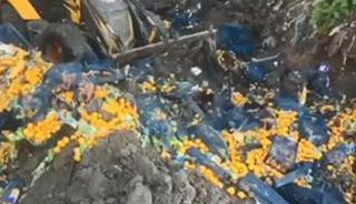 6 ton mandalina imha edildi! Nedeni açıklandı