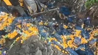 6 ton mandalina imha edildi! Nedeni açıklandı