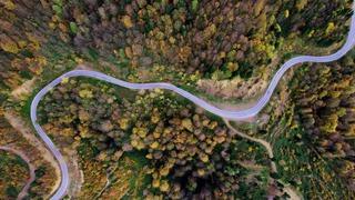 Sonbaharın renkleri Çam Dağı’nı baştan sona sardı