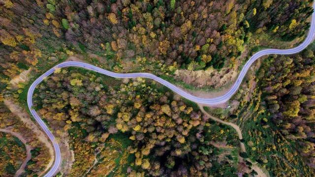 Sonbaharın renkleri Çam Dağı’nı baştan sona sardı