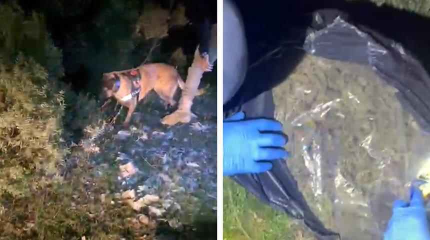 Muğla&rsquo;da piyasa değeri 4 milyon TL olan uyuşturucu ele ge&ccedil;irildi