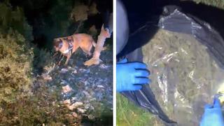 Muğla’da piyasa değeri 4 milyon TL olan uyuşturucu ele geçirildi