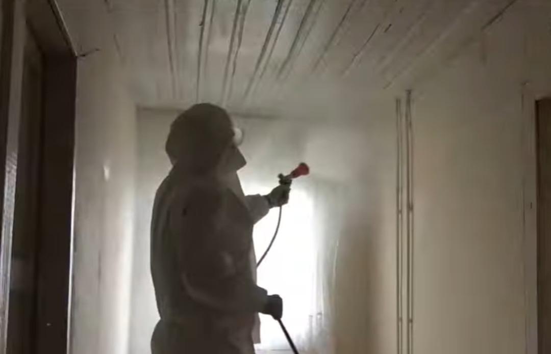 Böcek ailesini öldüren ihmal! İtiraf sonrası uzmanlar açıkladı: "Panzehiri yok! Saniyeler içinde öldürür" 1