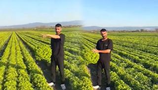 O çiftçinin isyanı pahalıya patladı