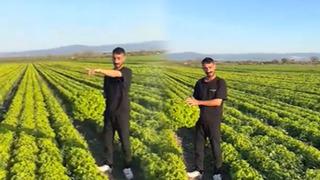 Marulun tanesine 2 TL teklif edilmişti: Çiftçinin isyanı pahalıya patladı