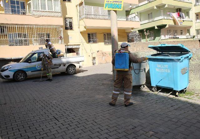 Haliliye’de haşere ve sinekle mücadele sürüyor