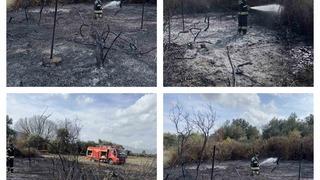 Muğla’da üzüm bağları alevlere teslim oldu