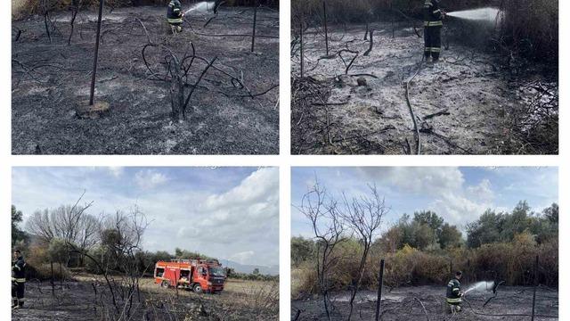 Muğla’da üzüm bağları alevlere teslim oldu