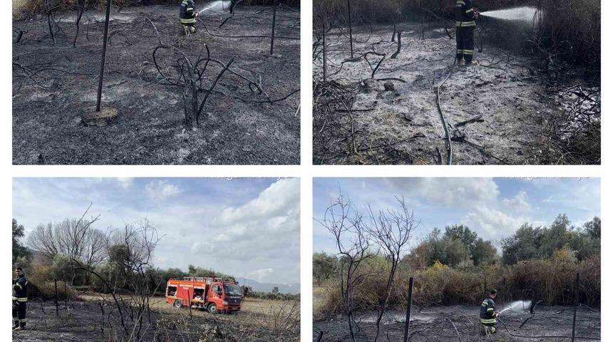 Muğla&rsquo;da &uuml;z&uuml;m bağları alevlere teslim oldu