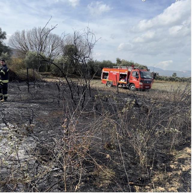 Muğla&rsquo;da &uuml;z&uuml;m bağları alevlere teslim oldu 3