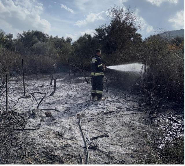 Muğla&rsquo;da &uuml;z&uuml;m bağları alevlere teslim oldu 2